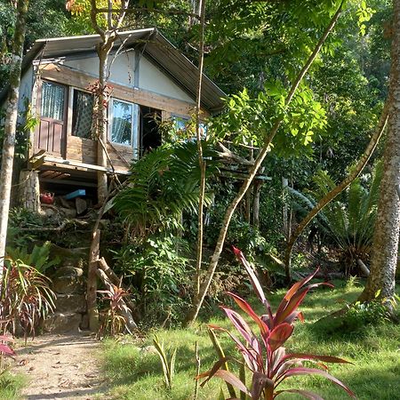 Sumatra Ecolodge Sungaipisang Buitenkant foto