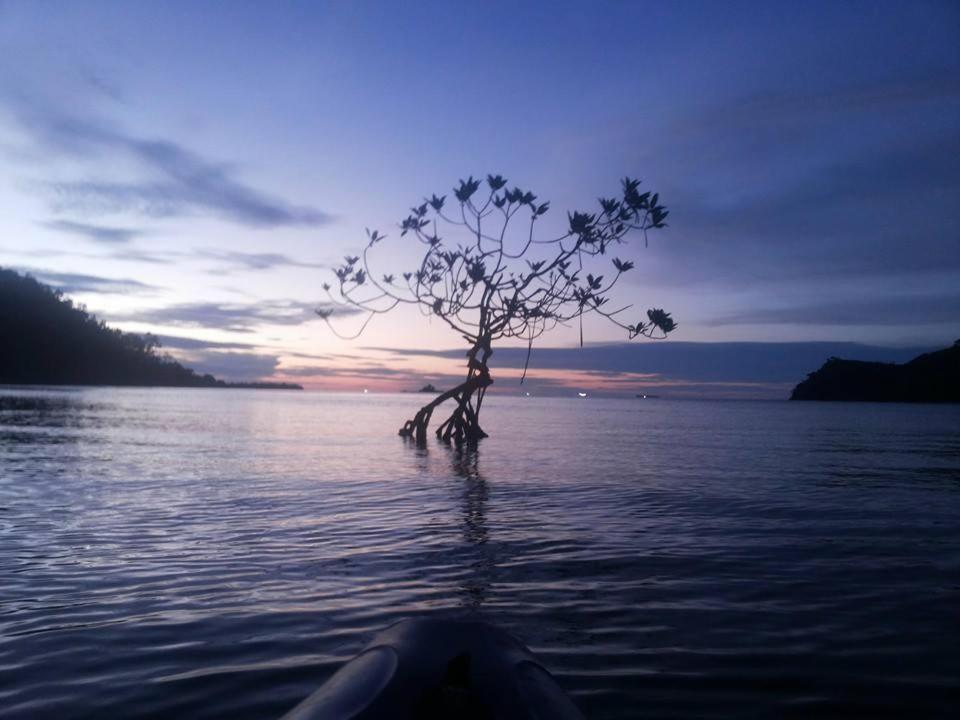 Sumatra Ecolodge Sungaipisang Buitenkant foto