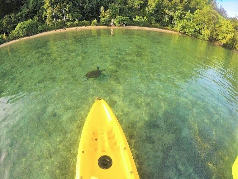 Sumatra Ecolodge Sungaipisang Buitenkant foto