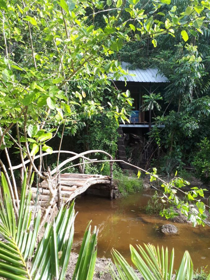 Sumatra Ecolodge Sungaipisang Buitenkant foto