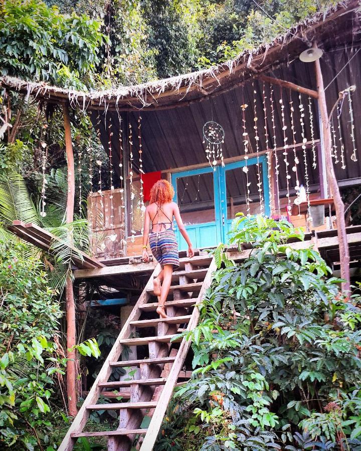Sumatra Ecolodge Sungaipisang Buitenkant foto