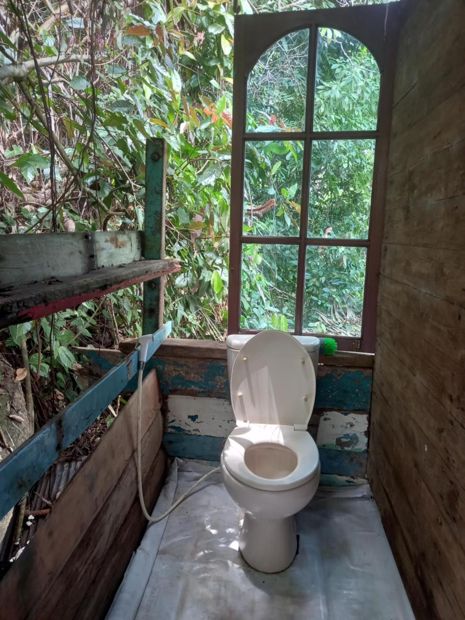 Sumatra Ecolodge Sungaipisang Kamer foto
