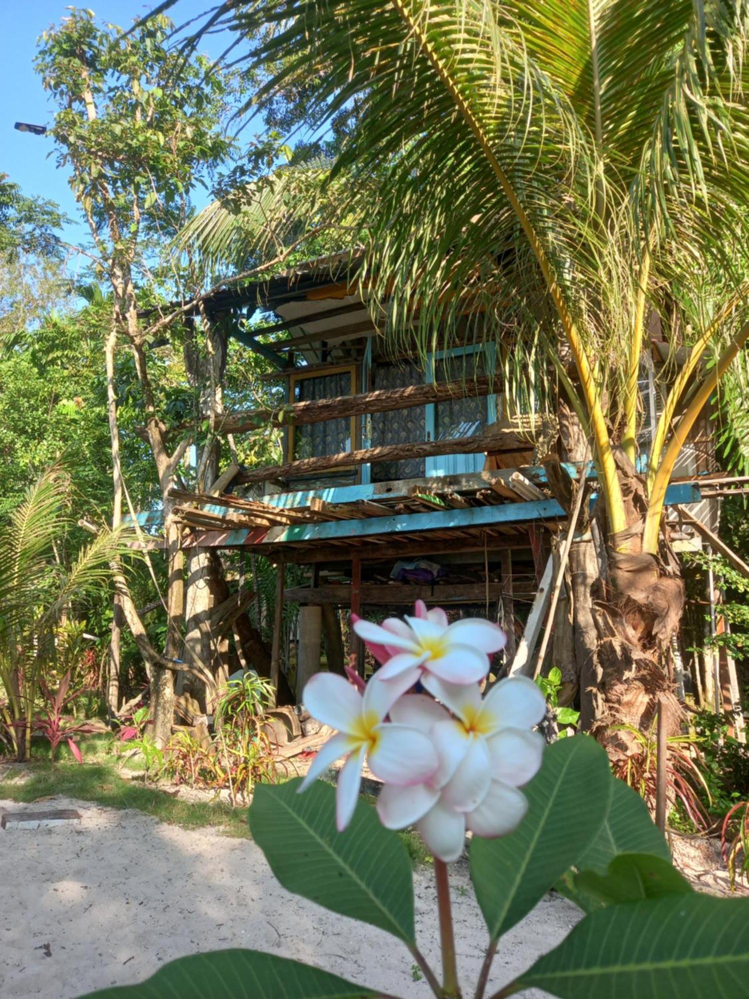 Sumatra Ecolodge Sungaipisang Kamer foto