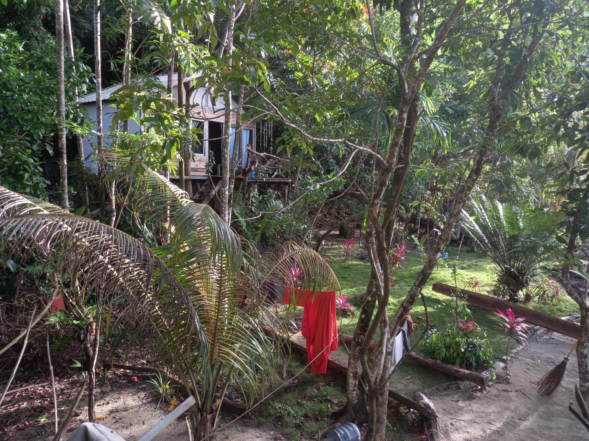 Sumatra Ecolodge Sungaipisang Buitenkant foto