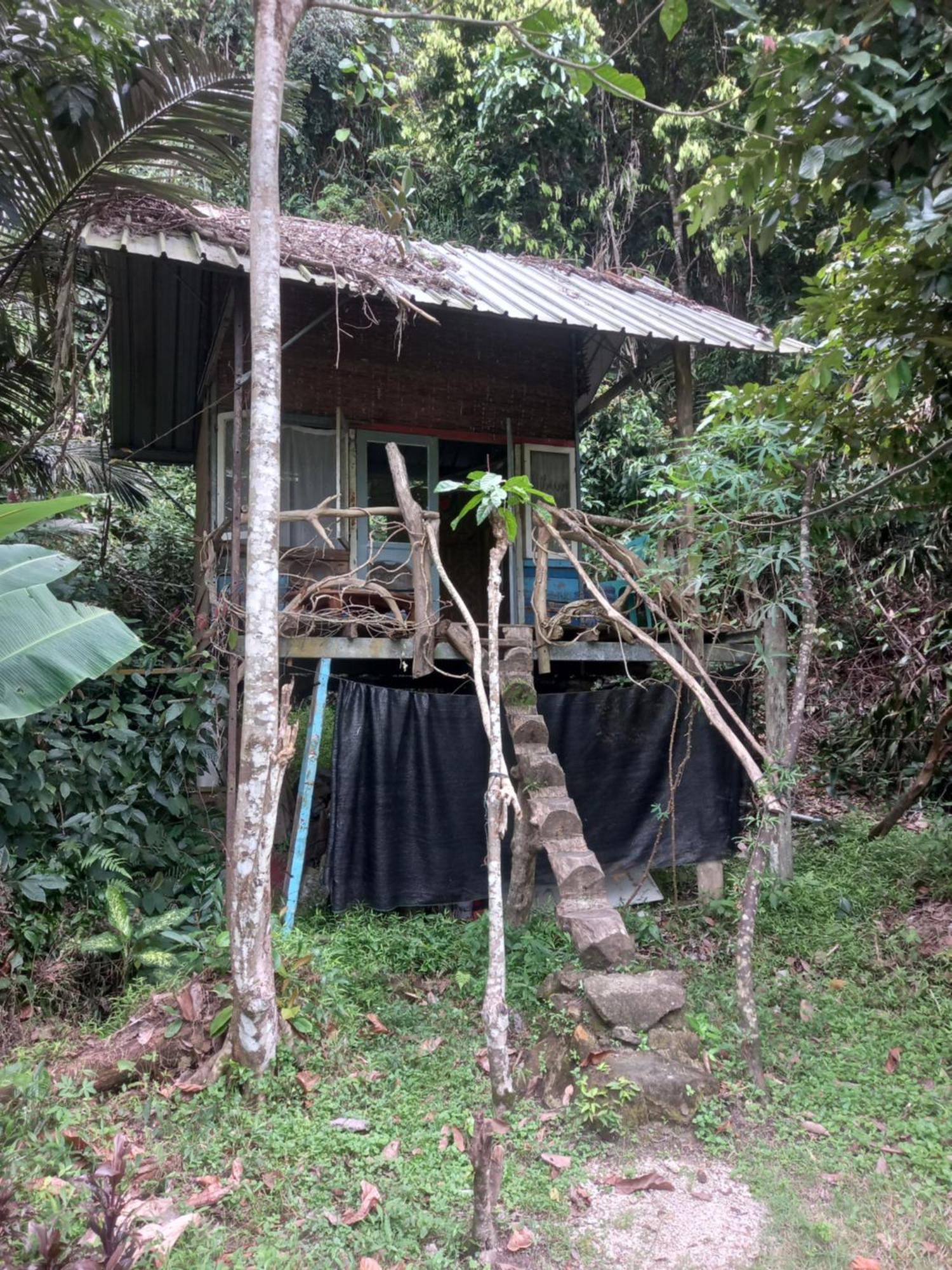 Sumatra Ecolodge Sungaipisang Kamer foto
