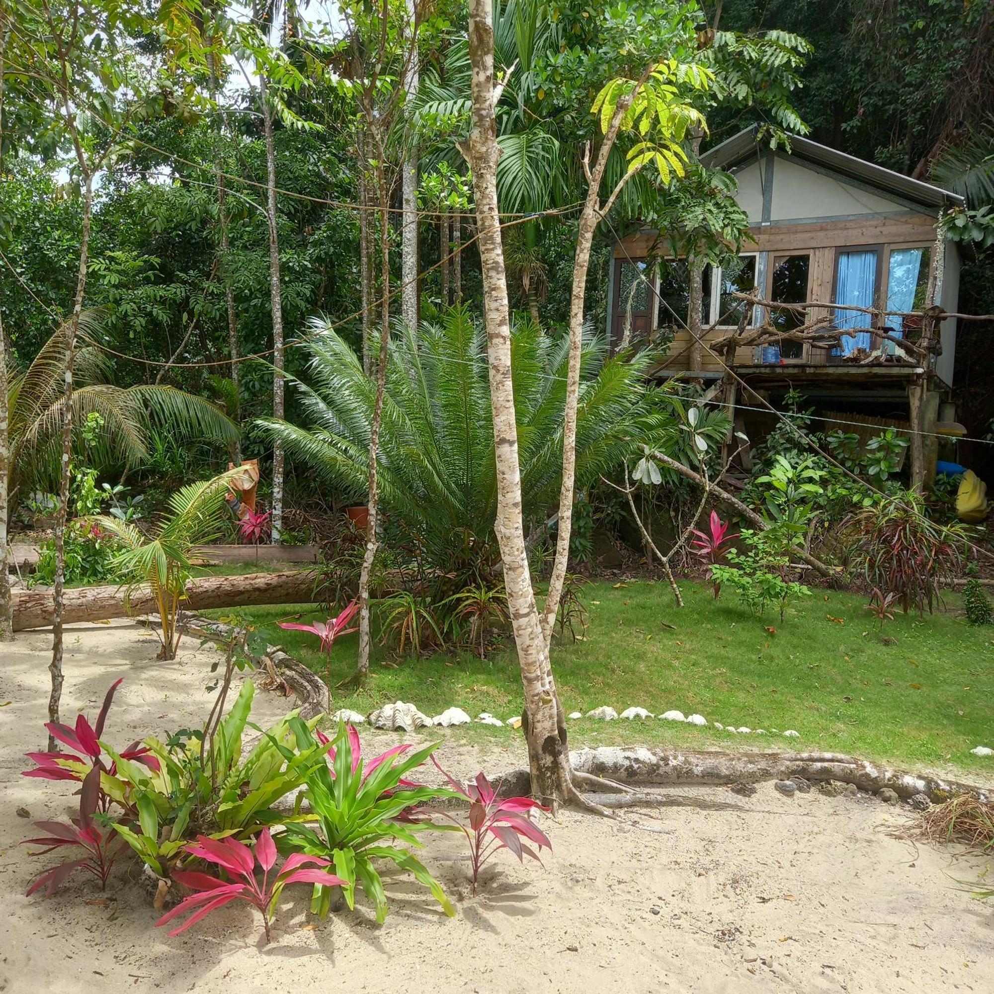 Sumatra Ecolodge Sungaipisang Kamer foto
